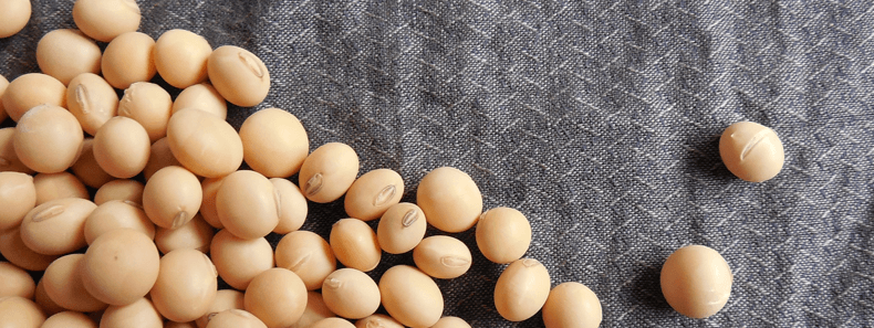 Sensitive to Soy? Here's How to Determine If You Have a Soy Allergy